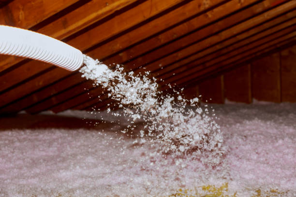 Best Home Insulation Services  in Old Fig Garden, CA