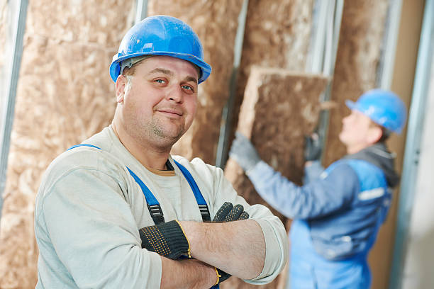 Best Spray Foam Insulation  in Old Fig Garden, CA